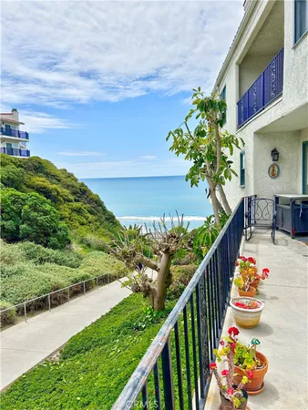 a view of a flower in a balcony
