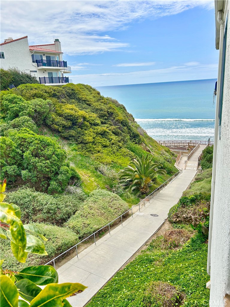 258 West Escalones, Unit 6R San Clemente, CA 92672 - Photo 24 of 37 a view of a backyard with plants