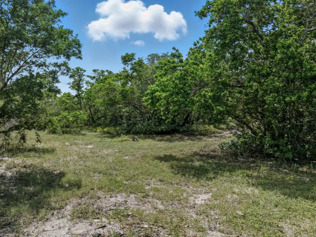 a view of outdoor space and trees