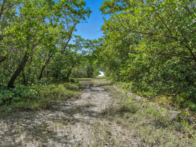 a view of a lake with a yard