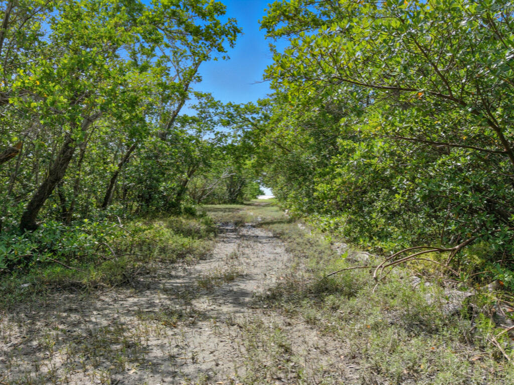 0 Keewaydin Naples, FL 34113 - Photo 8 of 18 a view of outdoor space and trees
