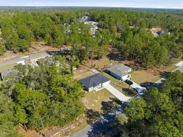 an aerial view of residential houses with outdoor space and trees