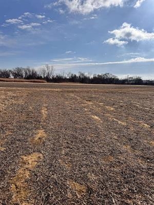 527 Badger Road Hazel Green, WI 53811 - Photo 12 of 22