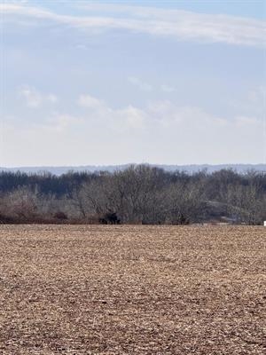 527 Badger Road Hazel Green, WI 53811 - Photo 14 of 22