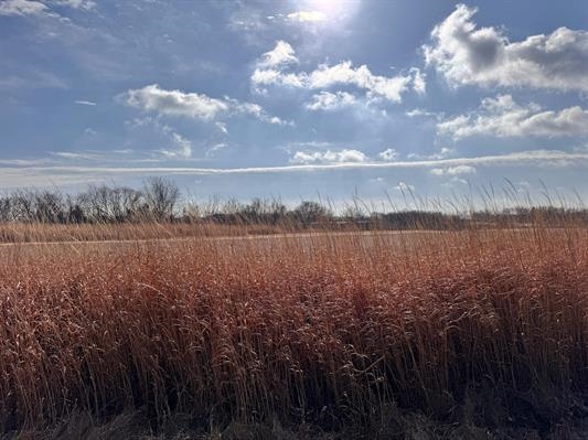 527 Badger Road Hazel Green, WI 53811 - Photo 3 of 22