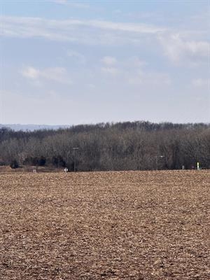 527 Badger Road Hazel Green, WI 53811 - Photo 8 of 22