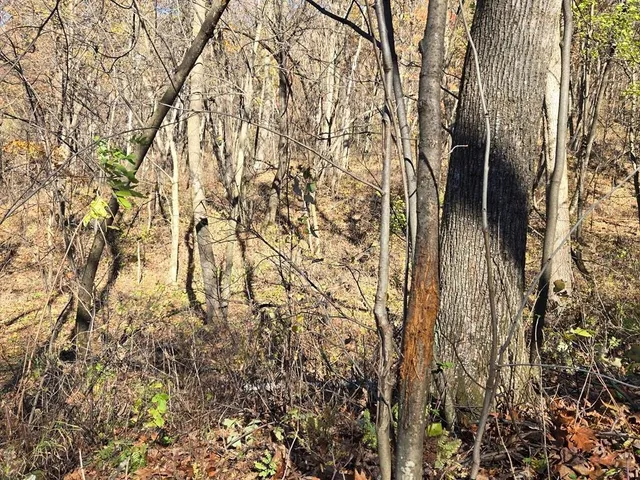 $625,000 | 0 County Road, Alma, WI 54610