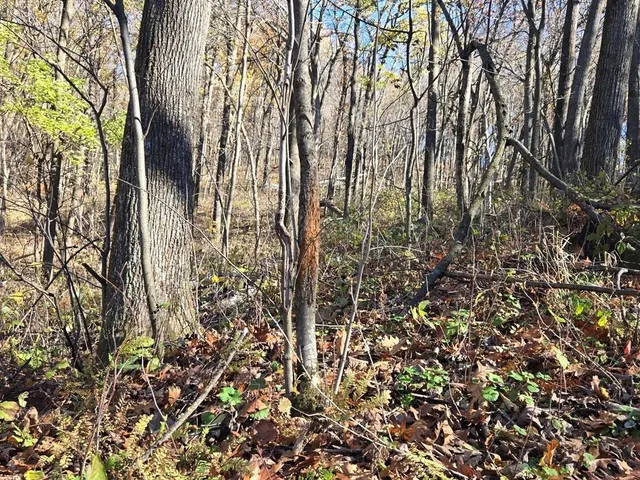 $625,000 | 0 County Road, Alma, WI 54610