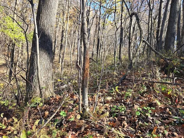 $625,000 | 0 County Road, Alma, WI 54610