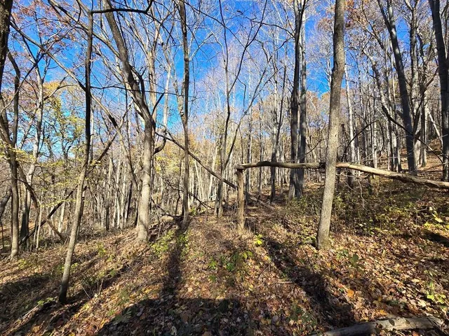 $625,000 | 0 County Road, Alma, WI 54610