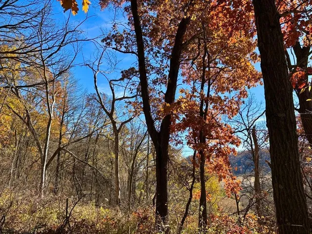 $625,000 | 0 County Road, Alma, WI 54610