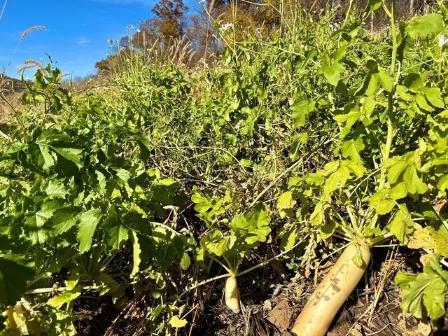 $625,000 | 0 County Road, Alma, WI 54610