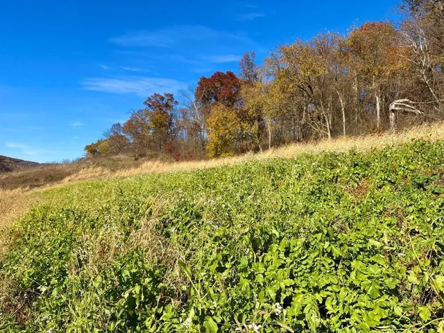 $625,000 | 0 County Road, Alma, WI 54610