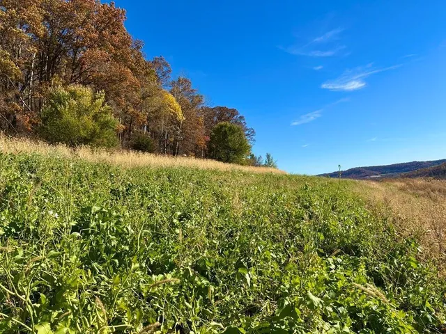 $625,000 | 0 County Road, Alma, WI 54610