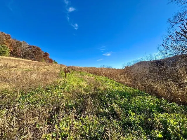 $625,000 | 0 County Road, Alma, WI 54610