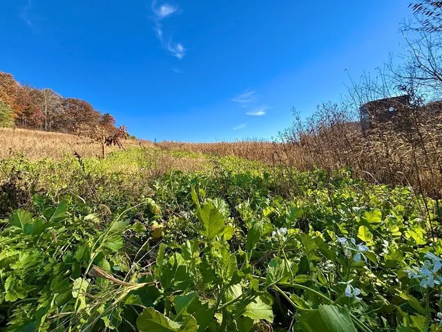 $625,000 | 0 County Road, Alma, WI 54610