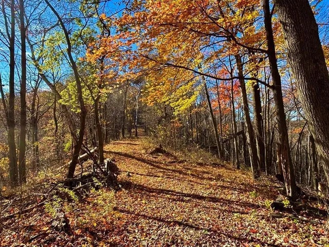 $625,000 | 0 County Road, Alma, WI 54610