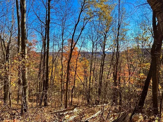 $625,000 | 0 County Road, Alma, WI 54610