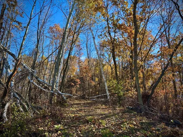 $625,000 | 0 County Road, Alma, WI 54610