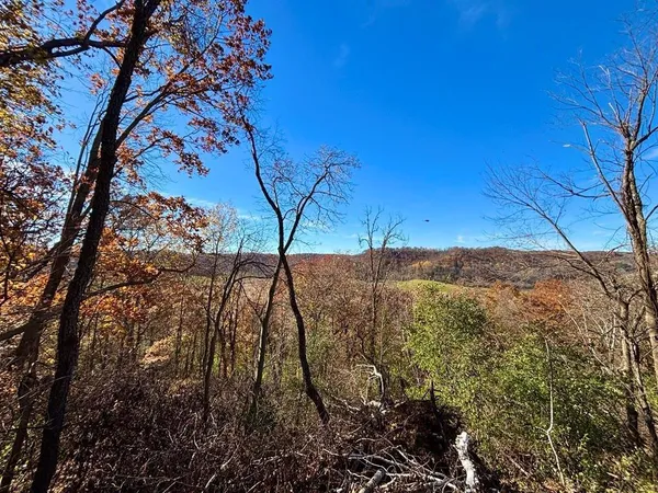 $625,000 | 0 County Road, Alma, WI 54610