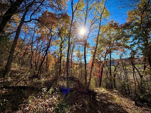 $625,000 | 0 County Road, Alma, WI 54610