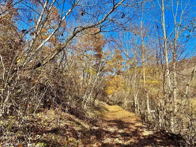 $625,000 | 0 County Road, Alma, WI 54610