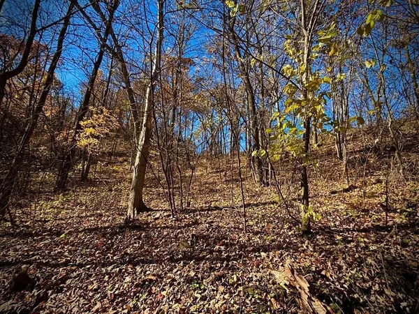 $625,000 | 0 County Road, Alma, WI 54610