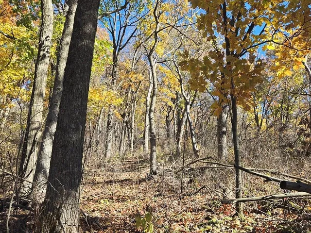 $625,000 | 0 County Road, Alma, WI 54610