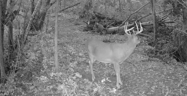 $625,000 | 0 County Road, Alma, WI 54610