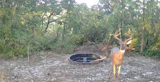 $625,000 | 0 County Road, Alma, WI 54610