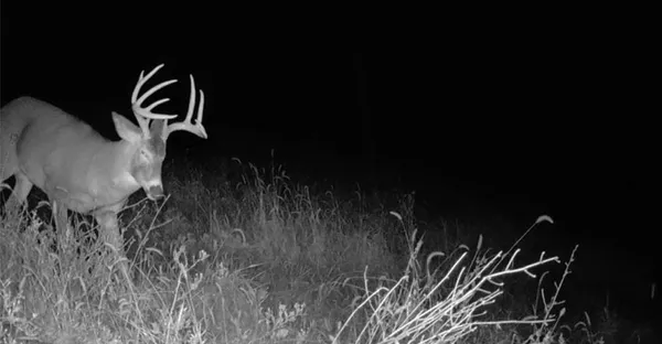 $625,000 | 0 County Road, Alma, WI 54610