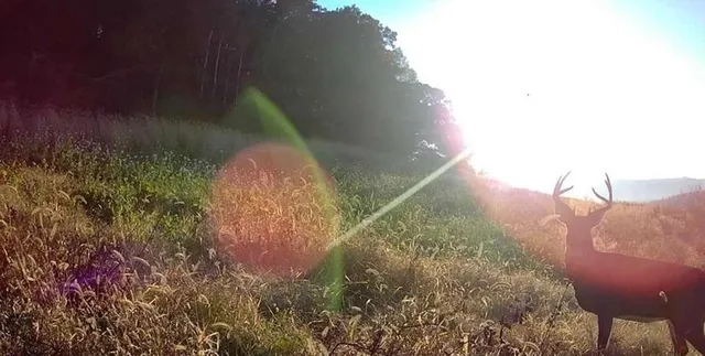 $625,000 | 0 County Road, Alma, WI 54610