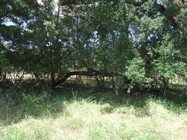 8 Rebecca Creek Road, Unit 8 Spring Branch, TX 78070 - Photo 1 of 1 Main View