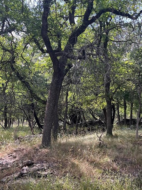 927 Cutter Circle May, TX 76857 - Photo 14 of 23 Mature trees with abundant foliage