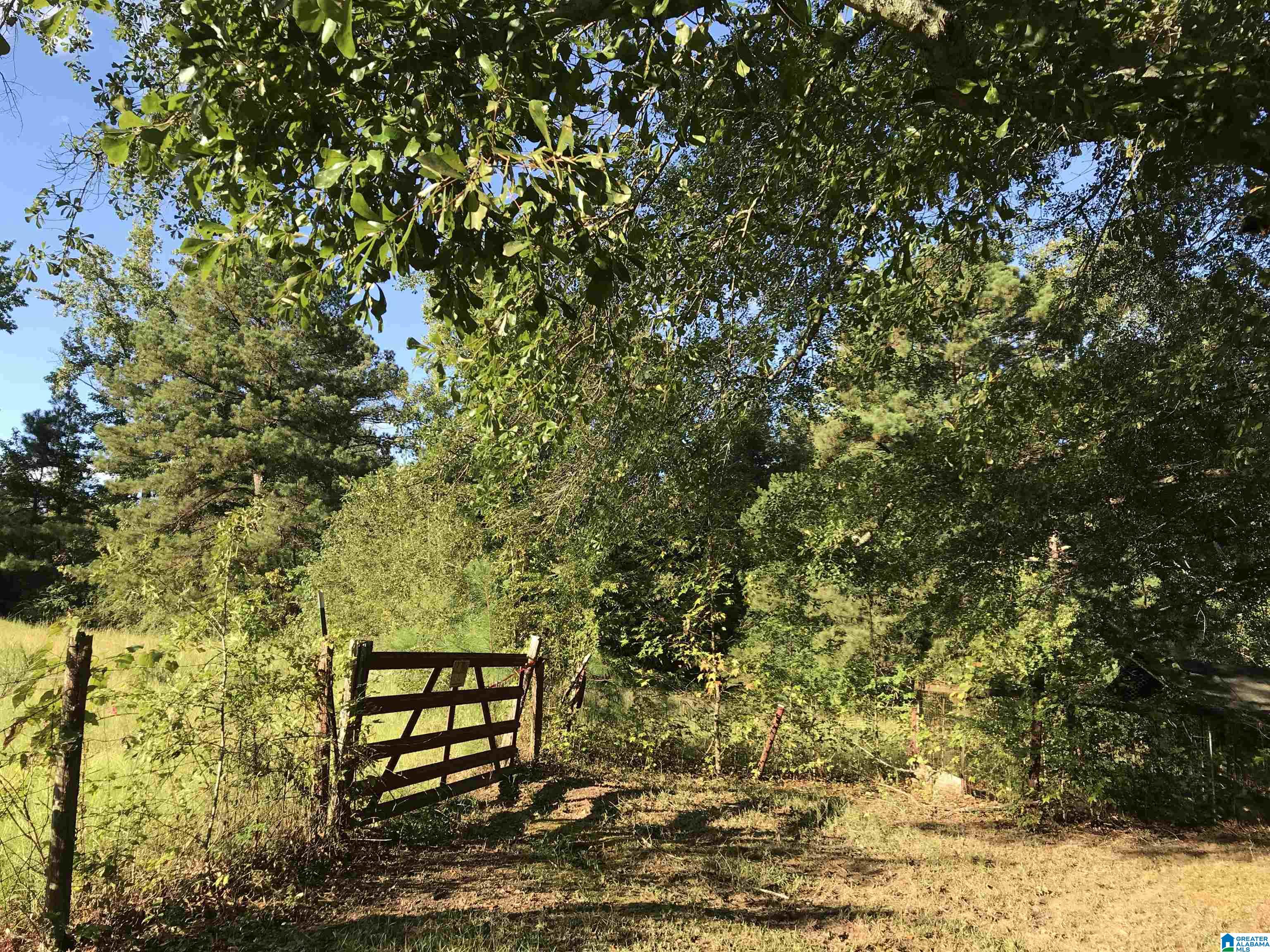 175 Boren Road Warrior, AL 35180 - Photo 13 of 19