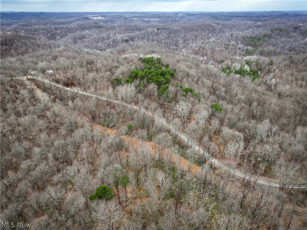 13 Ayers Ridge Lower Salem, OH 45745 - Photo 30 of 32 Bird's eye view of a heavily wooded area