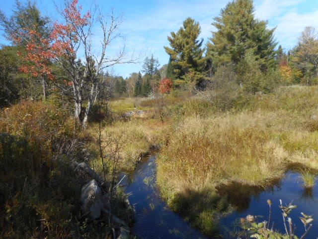 Map5-lot30j White Road Enfield, ME 04493 - Photo 1 of 5 DSCN7329