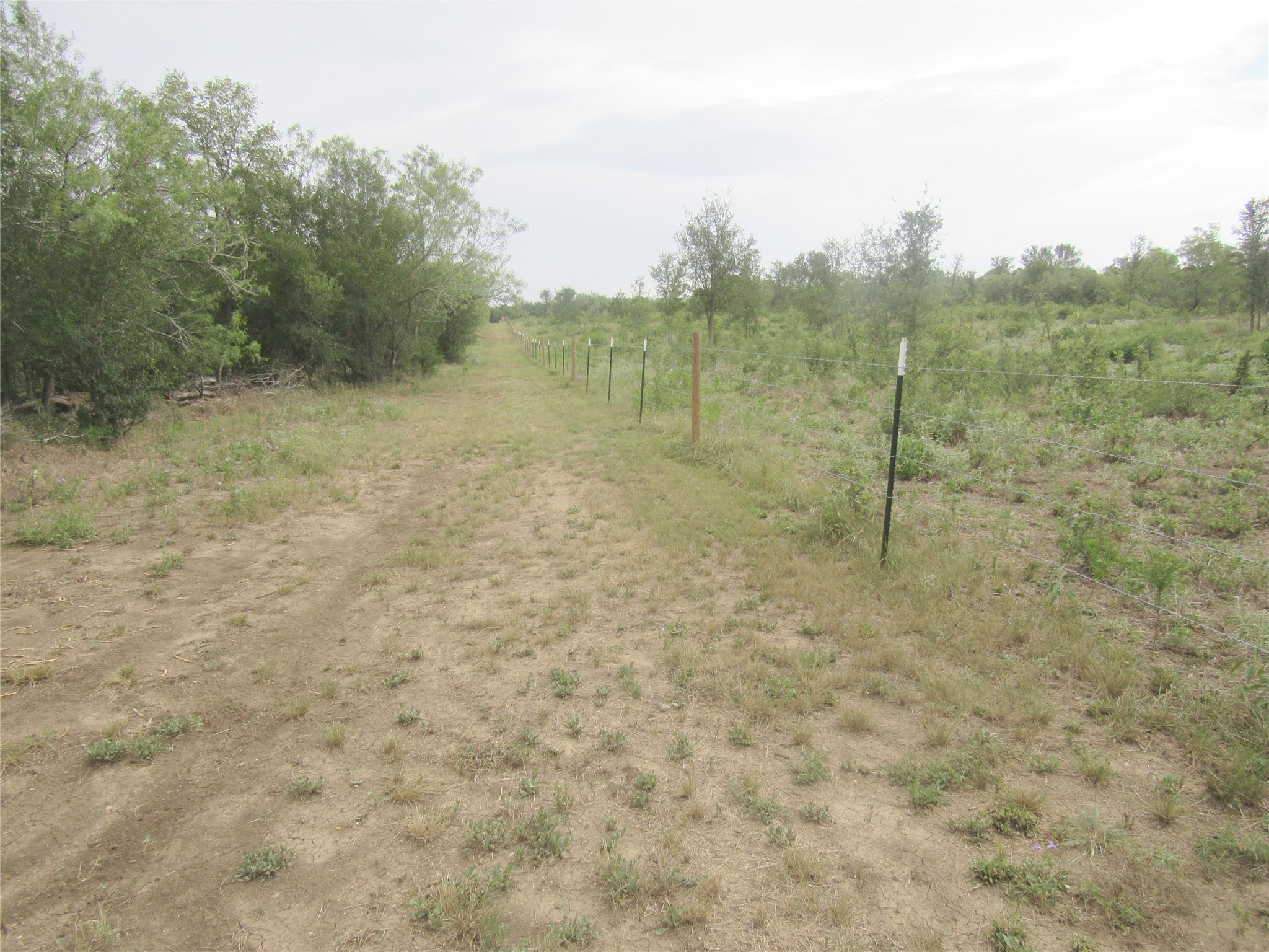 353 Littig Road Elgin, TX 78621 - Photo 36 of 40 a view of a dry yard