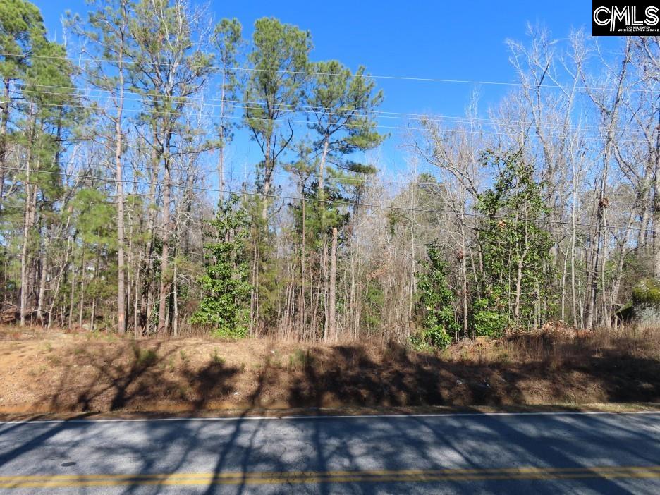 0 Rion Road Winnsboro, SC 29180 - Photo 7 of 42