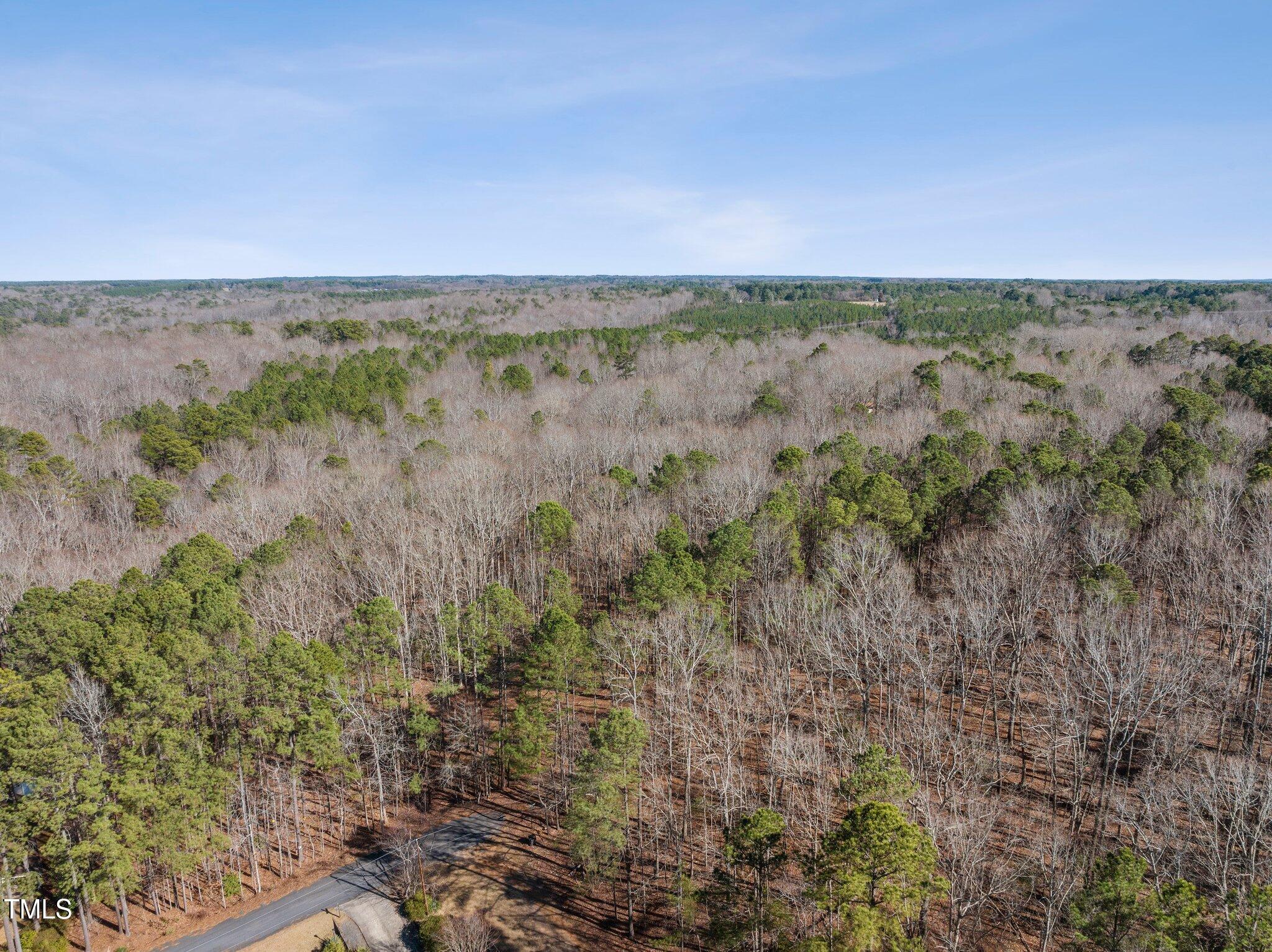 0 Oldham Lake Road Sanford, NC 27330 - Photo 11 of 12 an aerial view of field with trees in background
