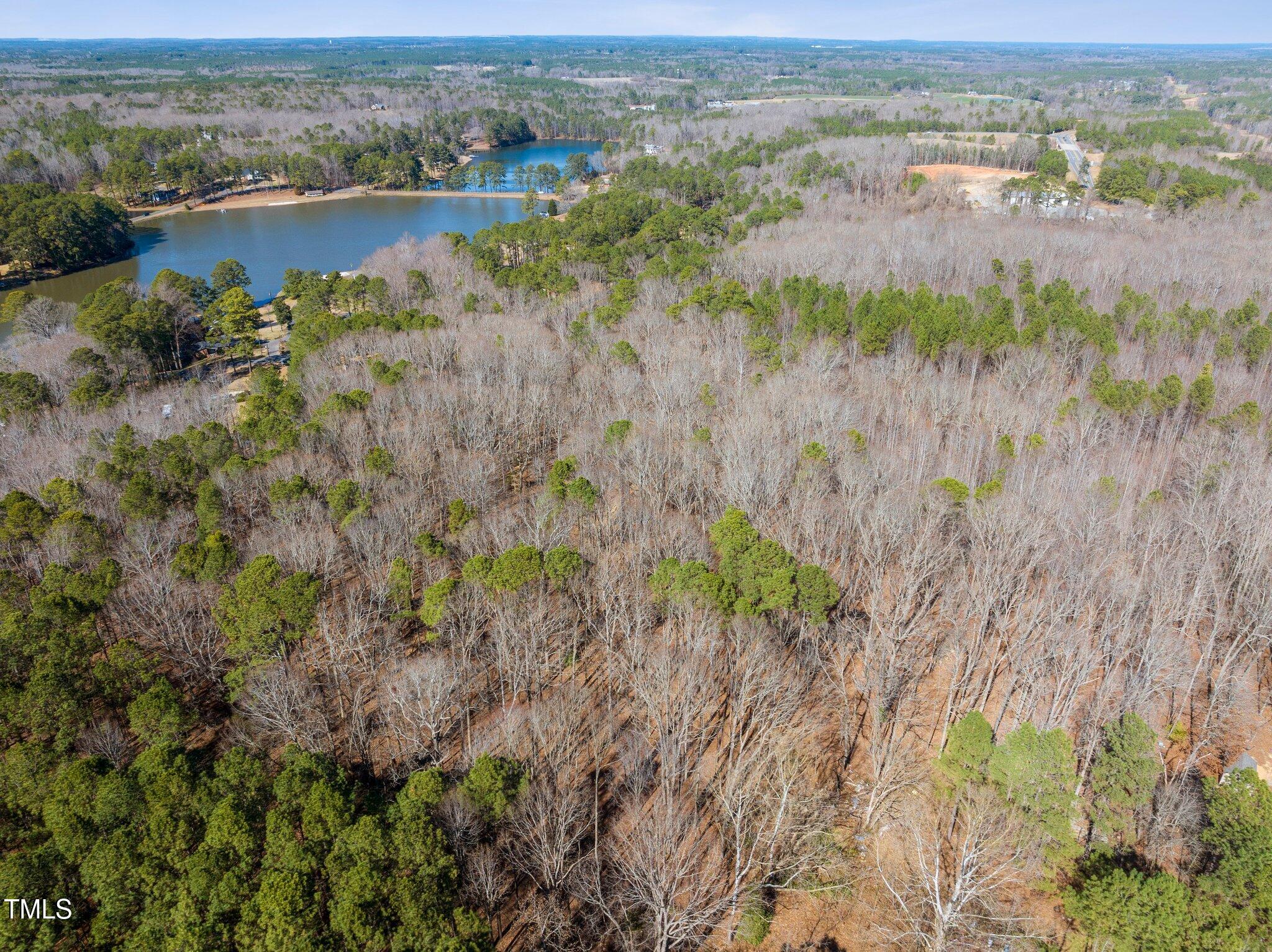 0 Oldham Lake Road Sanford, NC 27330 - Photo 3 of 12 a view of lake with mountain