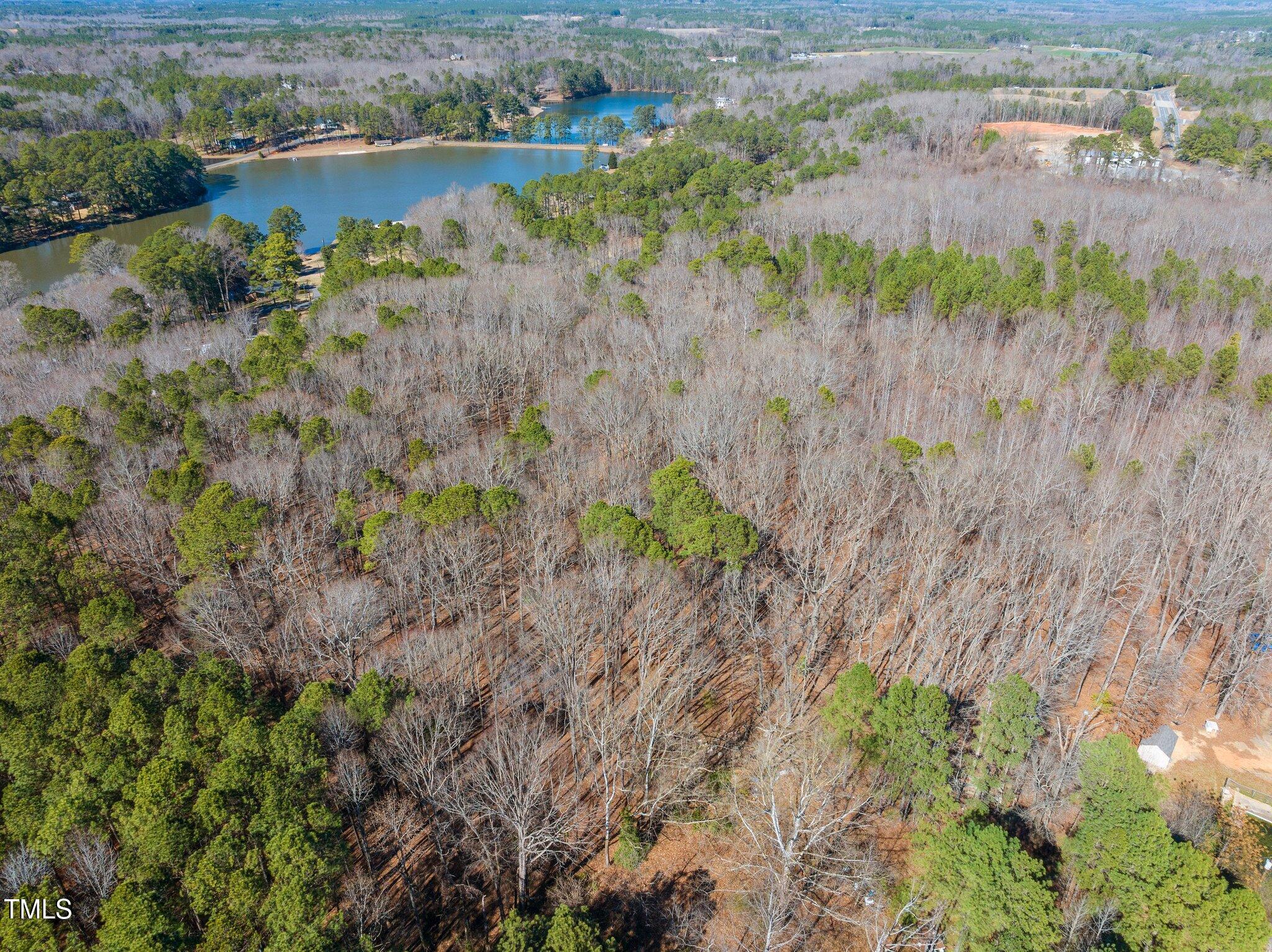 0 Oldham Lake Road Sanford, NC 27330 - Photo 4 of 12 a view of a lake with large trees