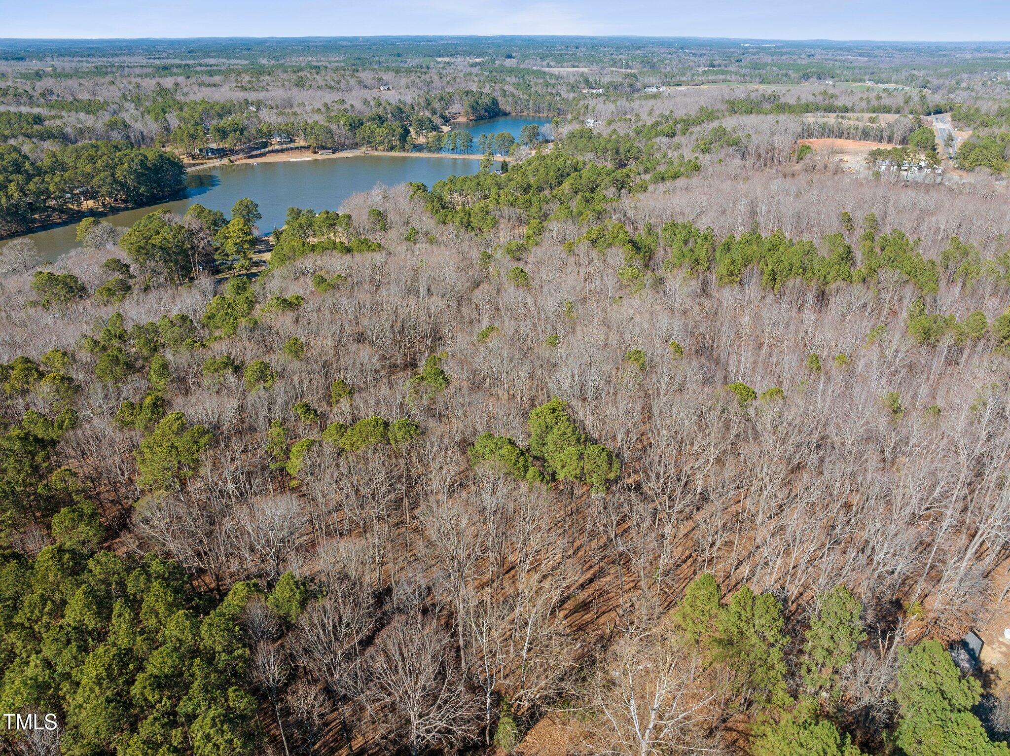 0 Oldham Lake Road Sanford, NC 27330 - Photo 5 of 12 a view of lake with mountain