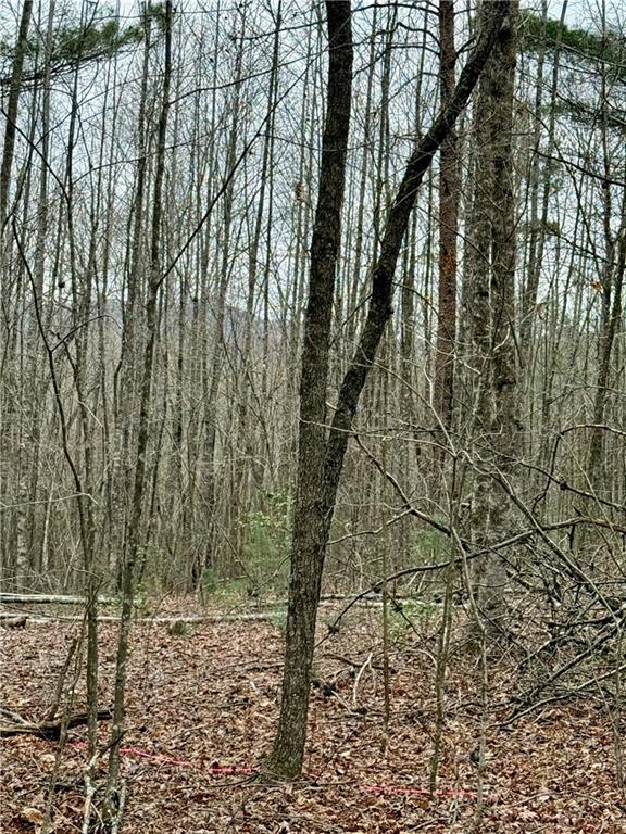 807 East Ridge Lane Ellijay, GA 30536 - Photo 4 of 7