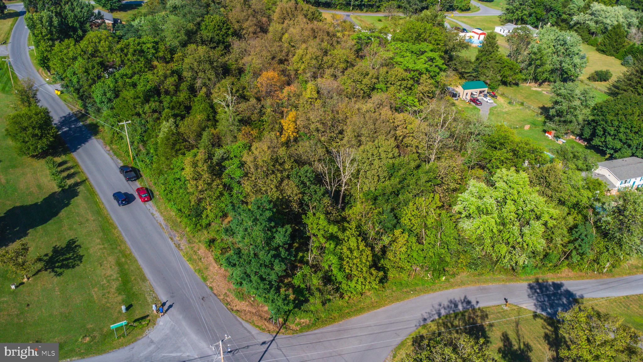 Lot B-9 Lot B-9 Lockhouse Road Falling Waters, WV 25419 - Photo 1 of 10