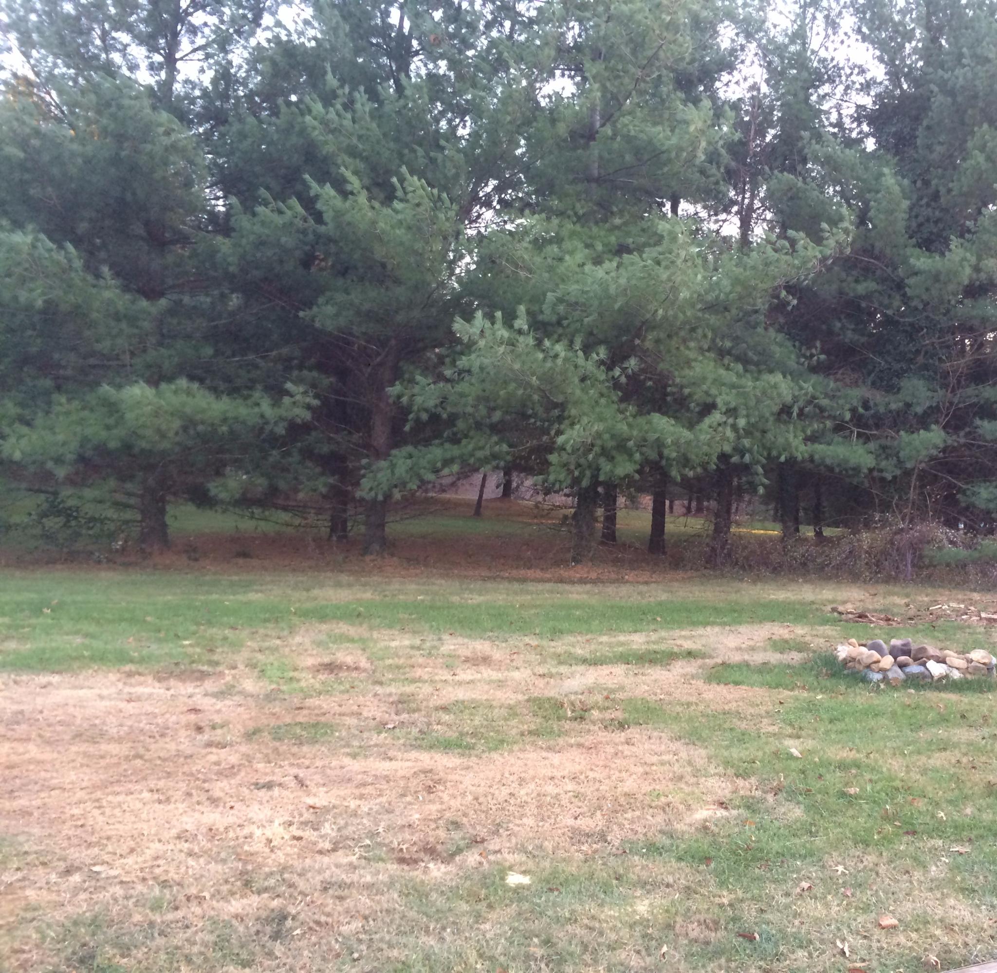 4259 Bonsack Road Northeast Roanoke, VA 24012 - Photo 5 of 22 back yard