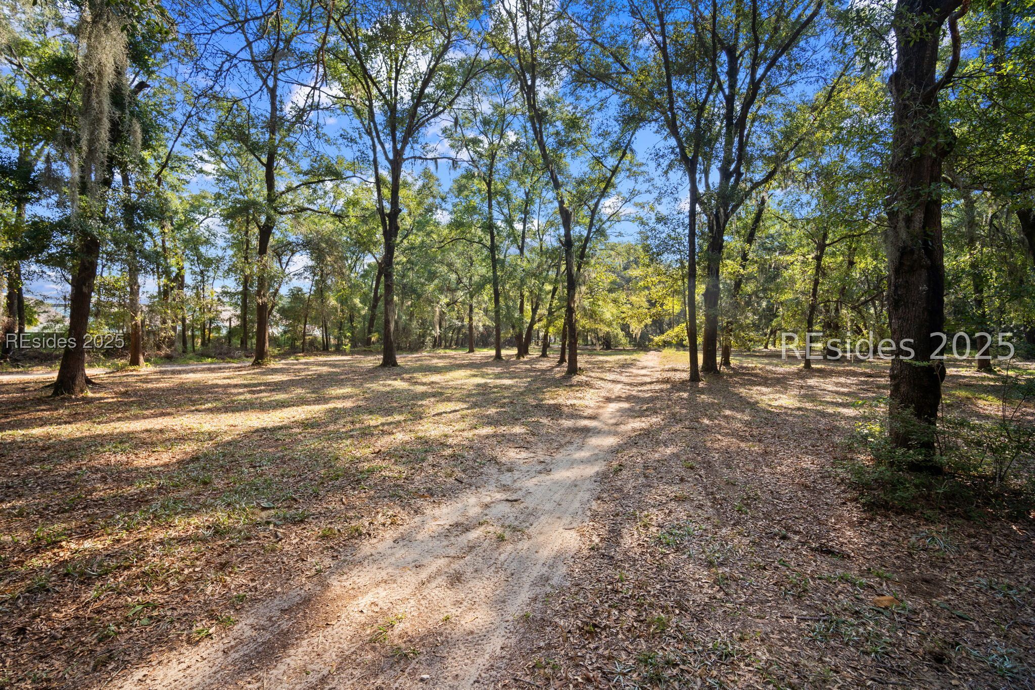 120 Meadow Drive Bluffton, SC 29910 - Photo 14 of 32