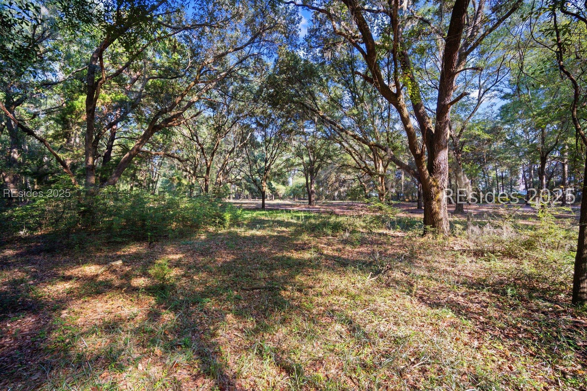 120 Meadow Drive Bluffton, SC 29910 - Photo 7 of 32