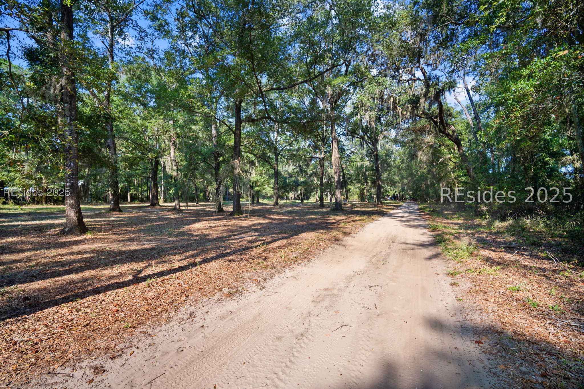 120 Meadow Drive Bluffton, SC 29910 - Photo 9 of 32