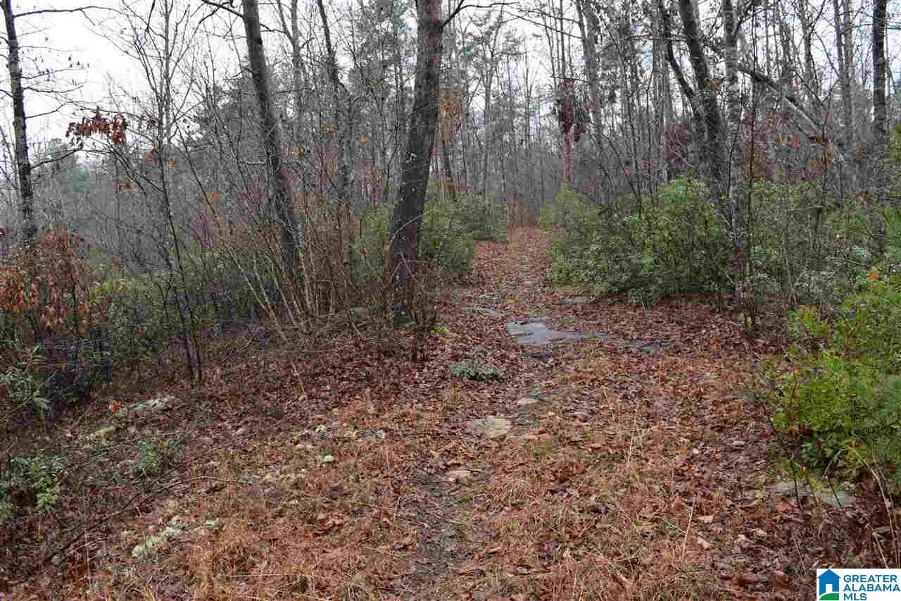 Lot 11 Winding Creek Road, Unit LOT 11 Arley, AL 35541 - Photo 5 of 5